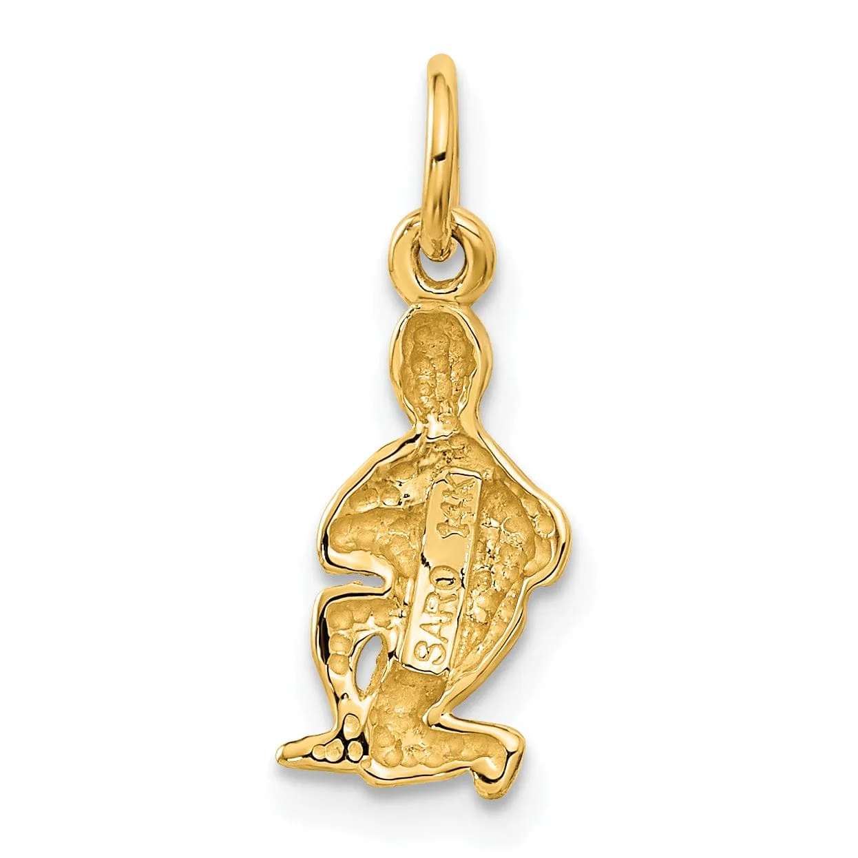 14k Yellow Gold Aquarius Zodiac Charm Pendant