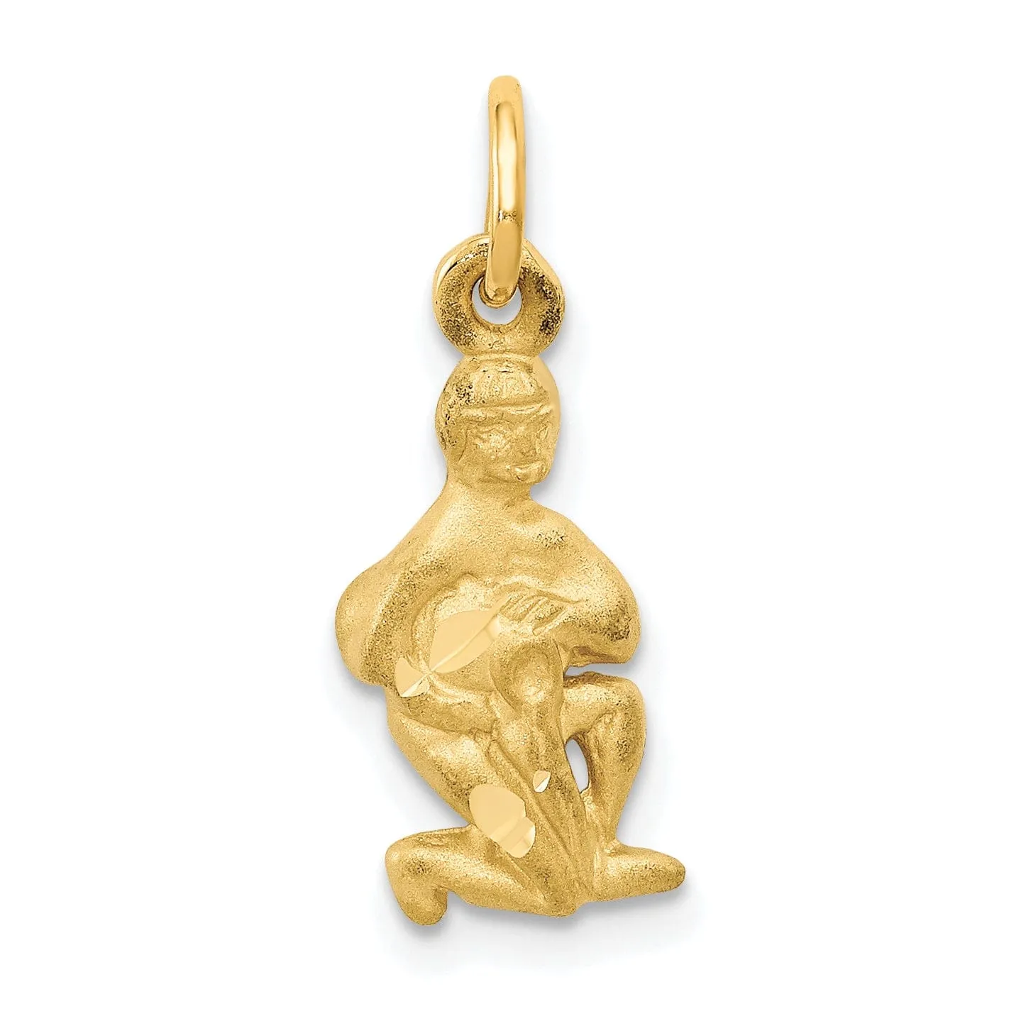 14k Yellow Gold Aquarius Zodiac Charm Pendant