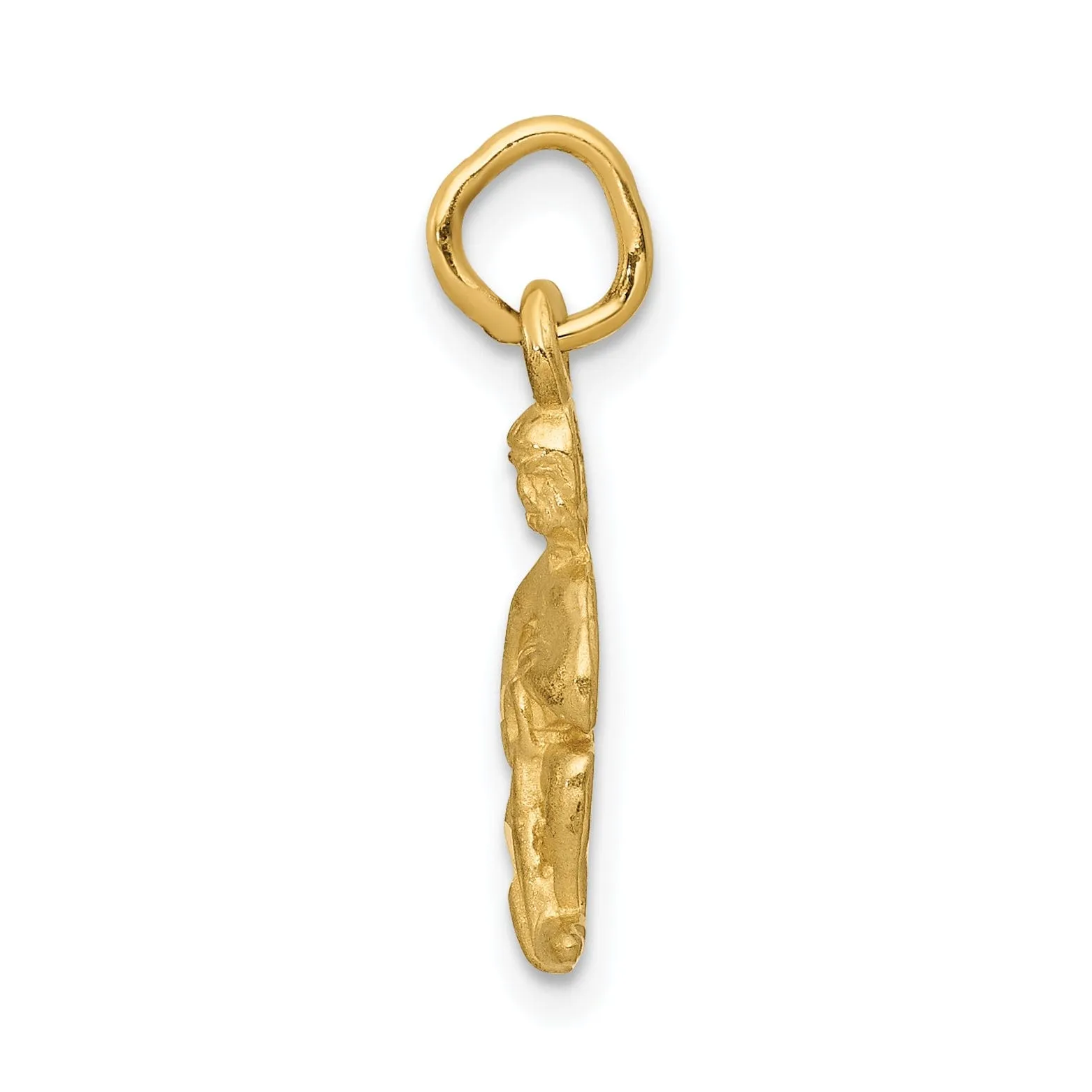 14k Yellow Gold Aquarius Zodiac Charm Pendant