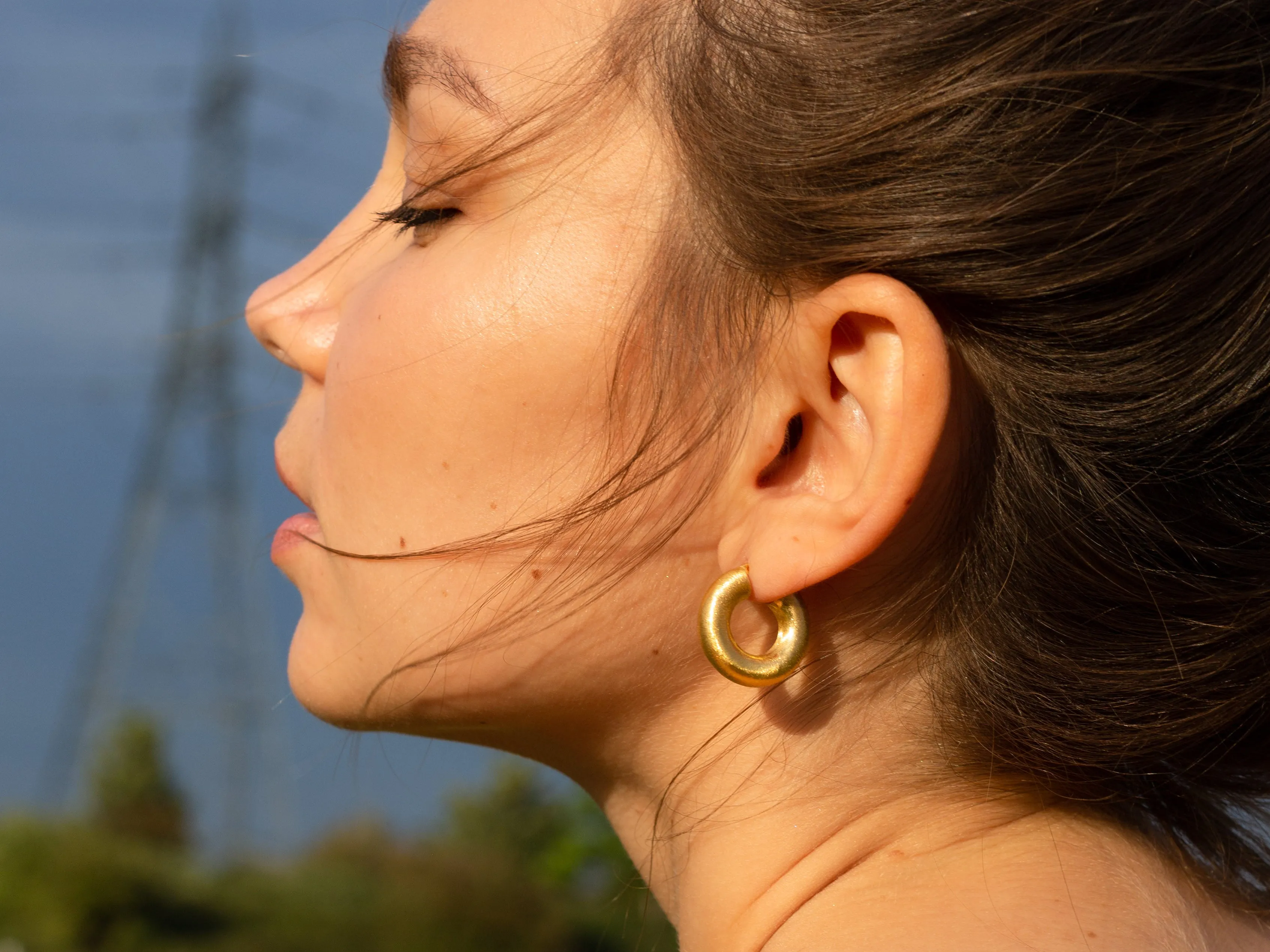 Matte Donut Satin Effect Hoop earrings - Gold