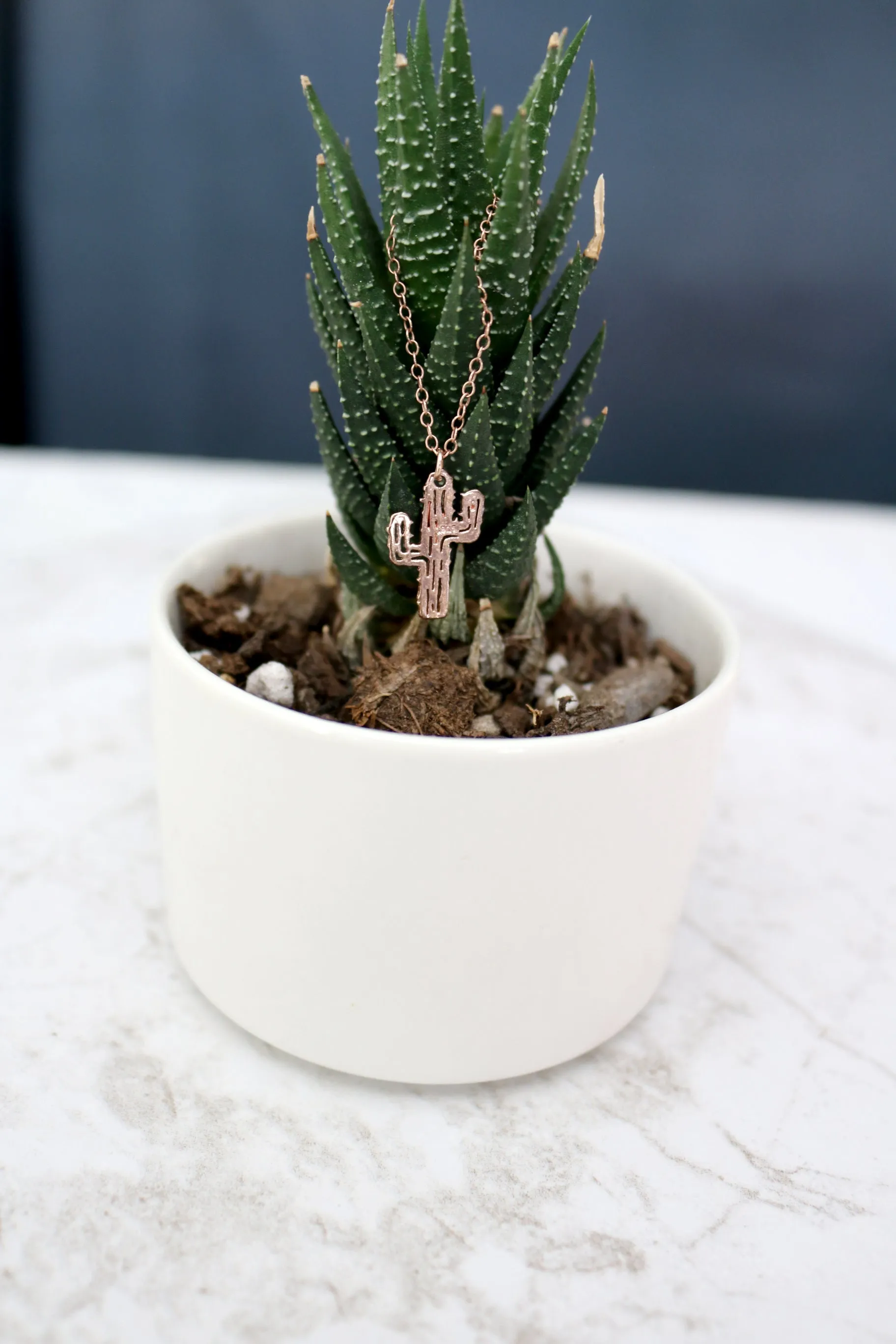 Prickly Side // Cactus Necklace, 925 Sterling Silver, Gold, Rose Gold, Desert Vibes // BH-N019